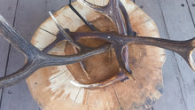 Załaduj obraz do przeglądarki galerii, Myśliwski stolik kawowy, jesion, średnica 73/67cm
